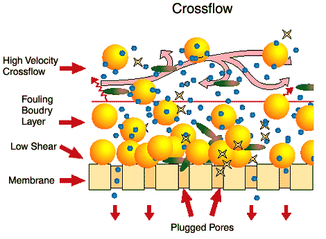 cross-flow szűrés